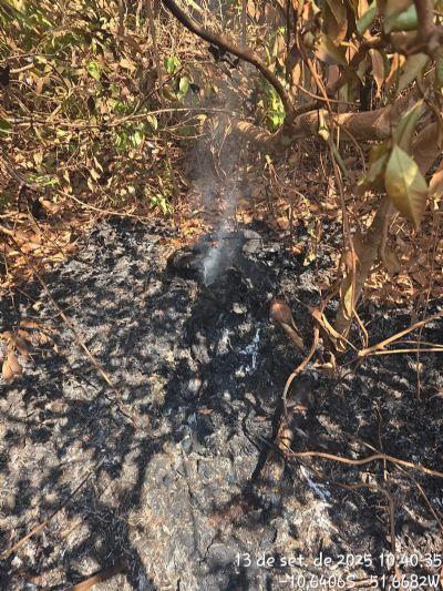Corpo em chamas é encontrado em área de mata na zona rural de Confresa (MT)