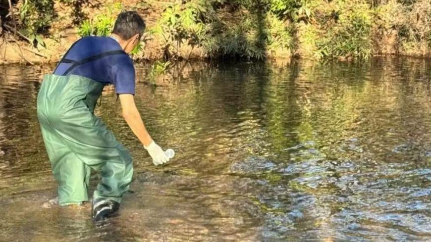 Fiscalização aponta 7 locais impróprios para banho em MT; veja lista