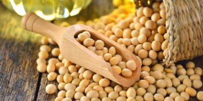 Saiba como ficaram os números do mercado de soja no Brasil e em Chicago