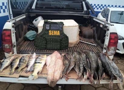 Cerca de 70 quilos de pescado irregular são apreendidos nos últimos quatro dias em Confresa e outros municípios de MT