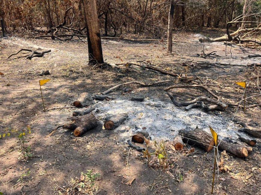 Corpo de Bombeiros aplica multa de R$ 80 milhões por incêndio criminoso no Parque Estadual da Serra Azul
