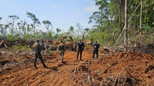 Operação Amazônia apreende máquinas e armas em ação contra desmatamento ilegal na região de Confresa (MT)