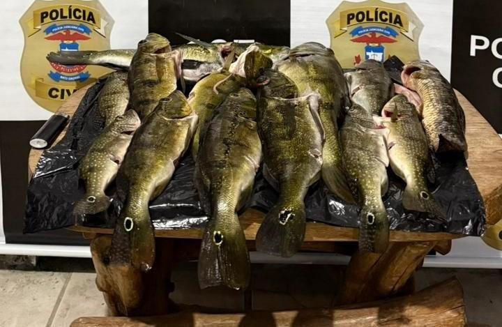 Polícia Civil realiza operação em combate à pesca predatória em Canarana (MT)