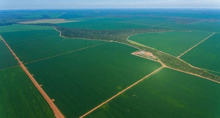 Justiça mantém produtores na posse de terras e freia desocupações em disputa de fazenda em Querência (MT)