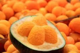 Ribeirão Cascalheira (MT) projeta aumento de 30% na safra de pequi