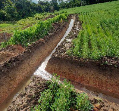 MPE processa empresa e fazendeira de São Félix do Araguaia (MT) e exige R$ 107 milhões