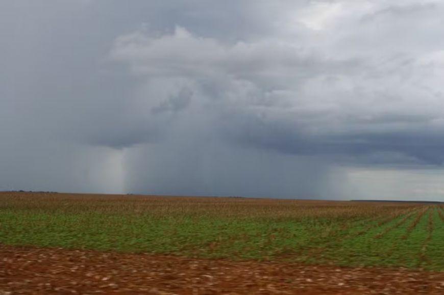Excesso de chuva atrasa colheita de soja em algumas regiões e gera alerta a produtores de Mato Grosso