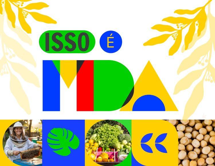 Mato Grosso é Plano Safra da Agricultura Familiar