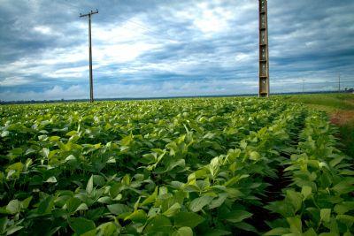 Aviso de pauta: Aprosoja MT e Imea apresentam resultados da safra de soja 2025/26 em coletiva de imprensa