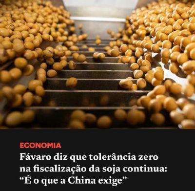 Brasil libera navios com certificação sanitária e avança em diálogo com a China sobre protocolo da soja