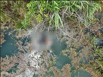 Confresa: Polícia Civil apura morte após corpo ser encontrado em decomposição às margens da MT-432