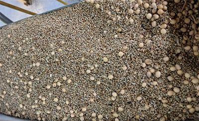 Ministério identifica fraude em carga de 42 toneladas de soja