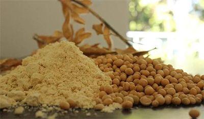 Os portos paranaenses movimentaram 10,25 milhões de toneladas entre janeiro e fevereiro de 2026, mantendo ritmo aquecido nas operações. O destaque fic