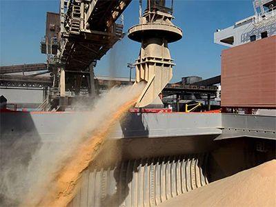 Soja e carnes lideram exportações pelos portos paranaenses no 1º bimestre