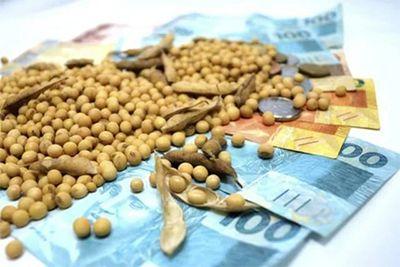 Alta em Chicago e dólar impulsionam negócios da soja; confira as cotações do dia