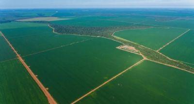 Decisão judicial determina avanço de cadastro rural e reforça debate sobre áreas em demarcação indígena