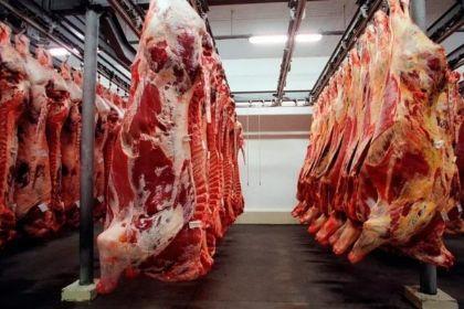 Mato Grosso bate recorde na exportação de carne bovina em 2026