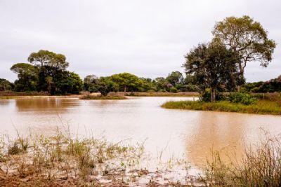 Período de defeso da Piracema será entre 1º de outubro de 2026 e 31 de janeiro de 2027 em MT