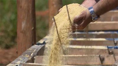 Produção de ração cresce em 2025 e deve atingir 97 milhões de ton em 2026, segundo levantamento