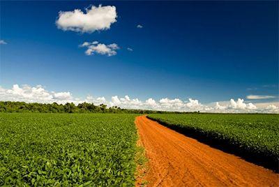 STF realiza audiência de conciliação sobre Moratória da Soja e dá prazo para acordo entre as partes