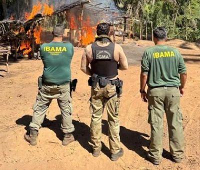 Operação surpresa desmonta invasão ilegal e leva suspeito para delegacia no Araguaia (MT)