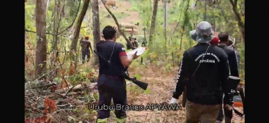 Defesa recorre ao TRF1 e tenta suspender retirada de 100 famílias da Gleba Porto Velho na Terra Indígena Urubu Branco