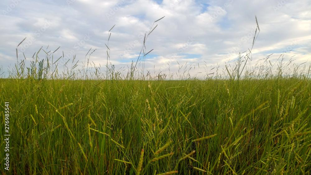 Fazenda de quase 8 mil hectares no Araguaia pode virar assentamento após decisão do Incra