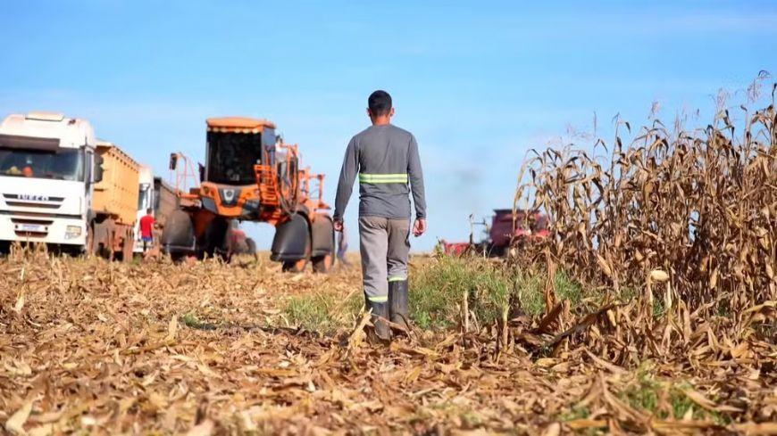 Mato Grosso é o único estado brasileiro onde homens são maioria entre solteiros