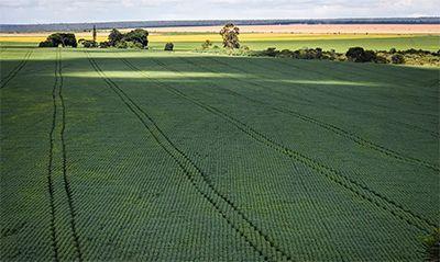 Senado aprova plano para fabricação de fertilizantes no Brasil