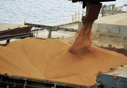 Soja: demanda chinesa impulsiona Chicago; no Brasil, produtor fica afastado dos negócios