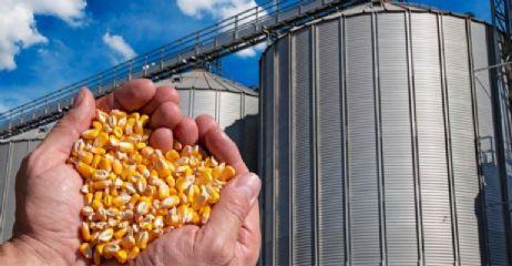 Uso de milho para etanol nos EUA cai 1% em junho, informa USDA