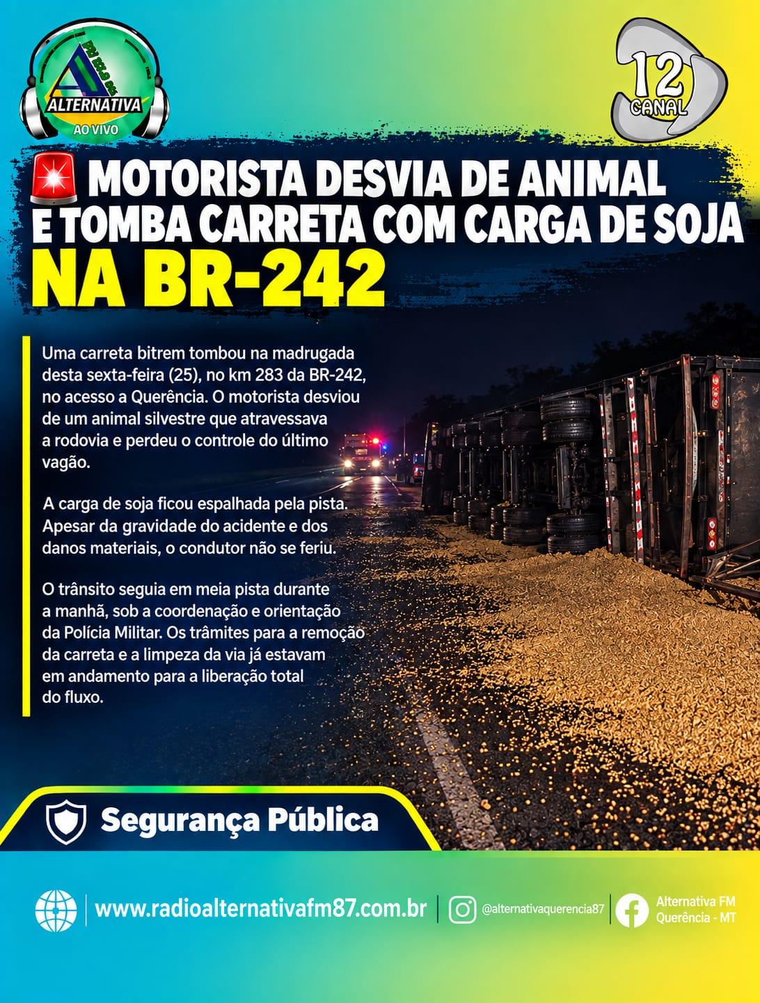 Motorista desvia de animal e tomba carreta com soja na BR-242