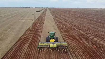Plantio da soja avança em Mato Grosso e produtores planejam safrinha